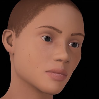 idoru