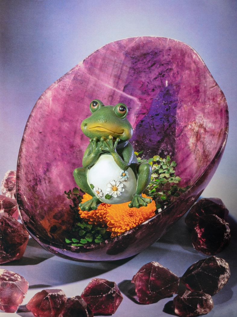 Spring photo book round-up 